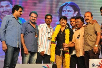 Sarrainodu Movie Blockbuster Function